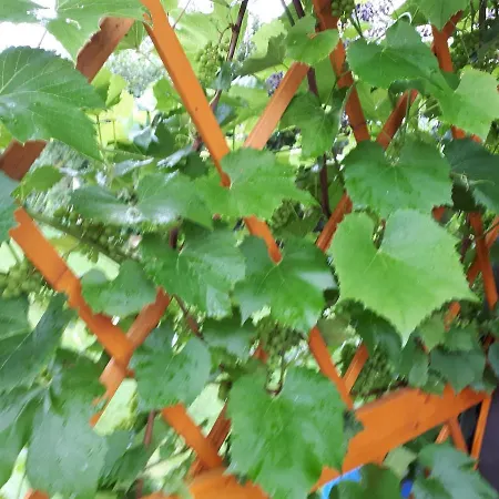 Huegelhaus Lejlighed