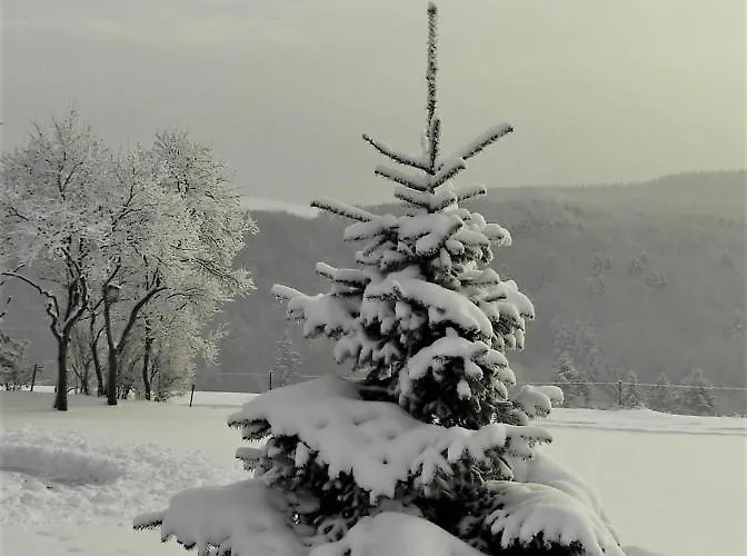 Huegelhaus דירה Plütscheid